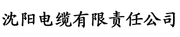 国产精品无码不卡一区二区三区电缆厂logo